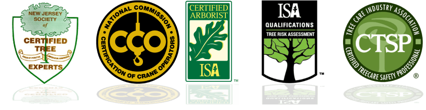 Badges